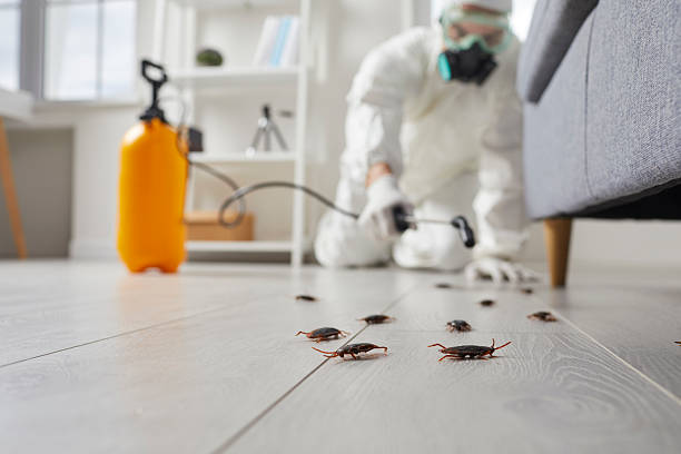 Commercial Kitchen Cockroach Control in Crystal Lake